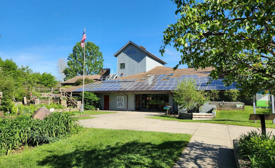 Nature Center Summer