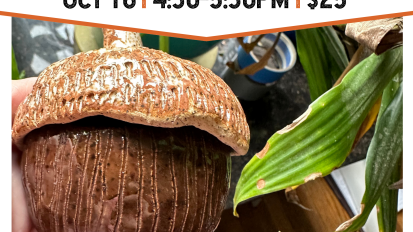 Finally Friday Workshop Seed Pod or Acorn Jar October 16