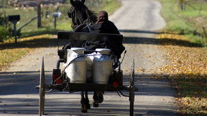 New-York-Amish-Trail-LR
