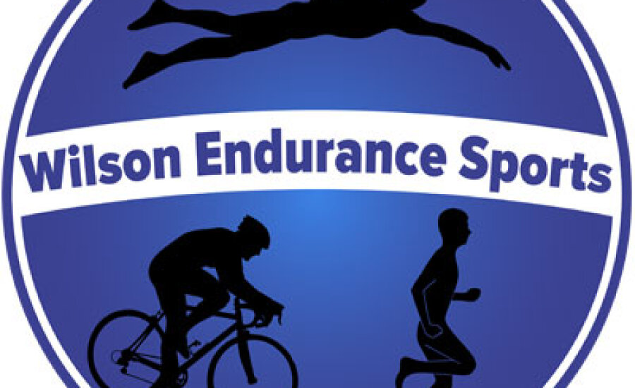 Logo for Wilson Endurance Sports.