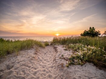 Dune view of Lake Erie