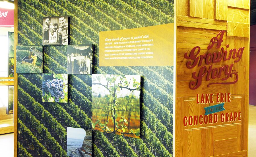 Grape Discovery Center Exhibit