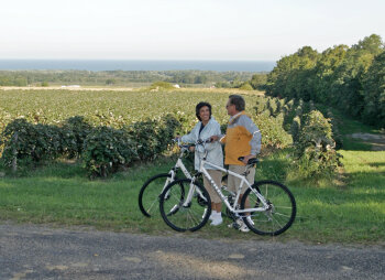 Cyclists biking in Lake Erie Wine Country