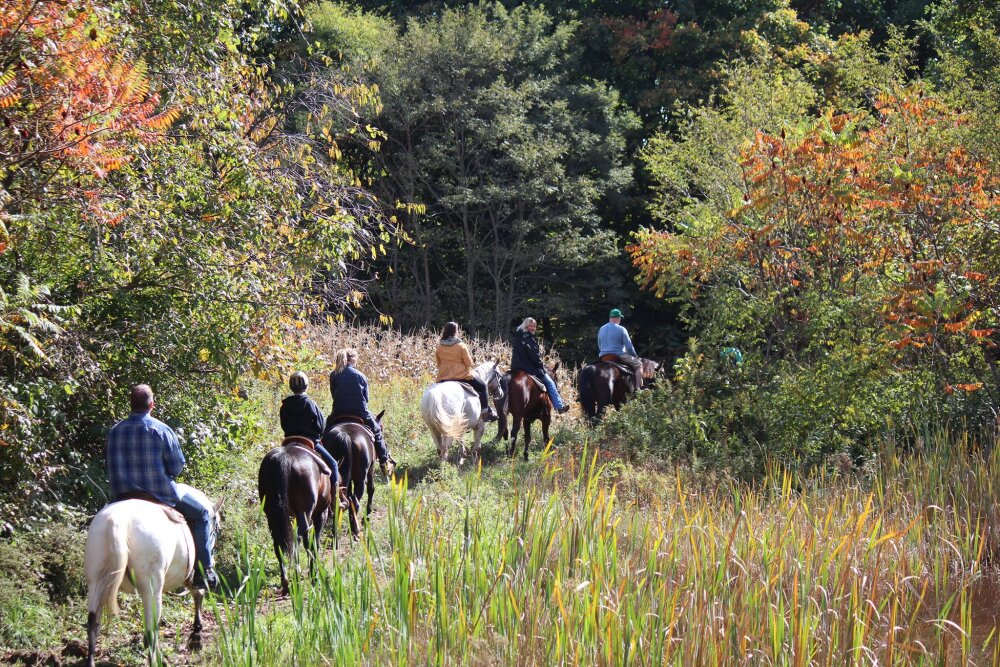 Double D.A.B. Riding Stables, Ripley, NY | Chautauqua County Visitors ...