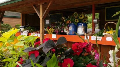 Hickory Hurst Farm