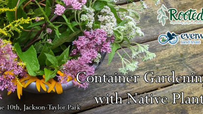 Container Gardening with Native Plants June 10