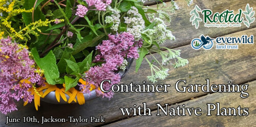 Container Gardening with Native Plants June 10