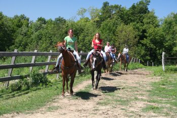 Horseback riding at Double DAB