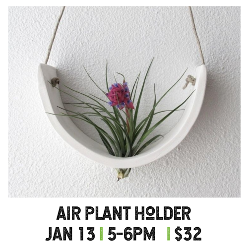 Air Plant Holder January 13
