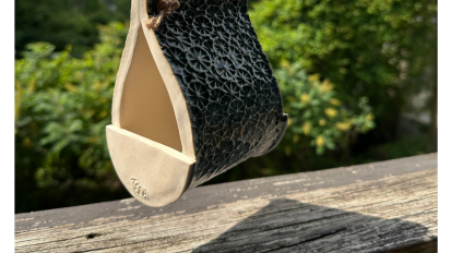 Bird Feeder March 24