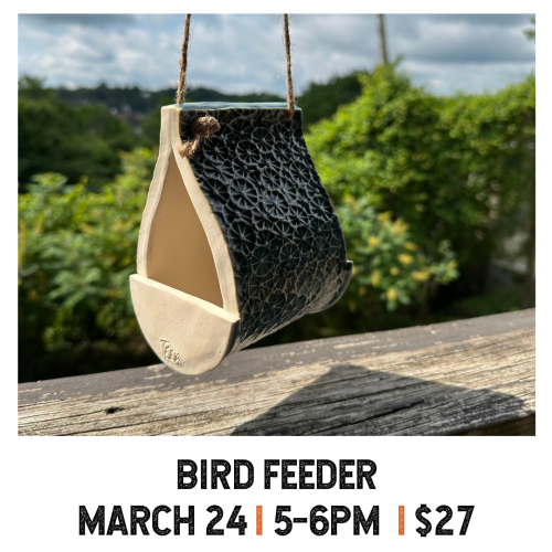 Bird Feeder March 24