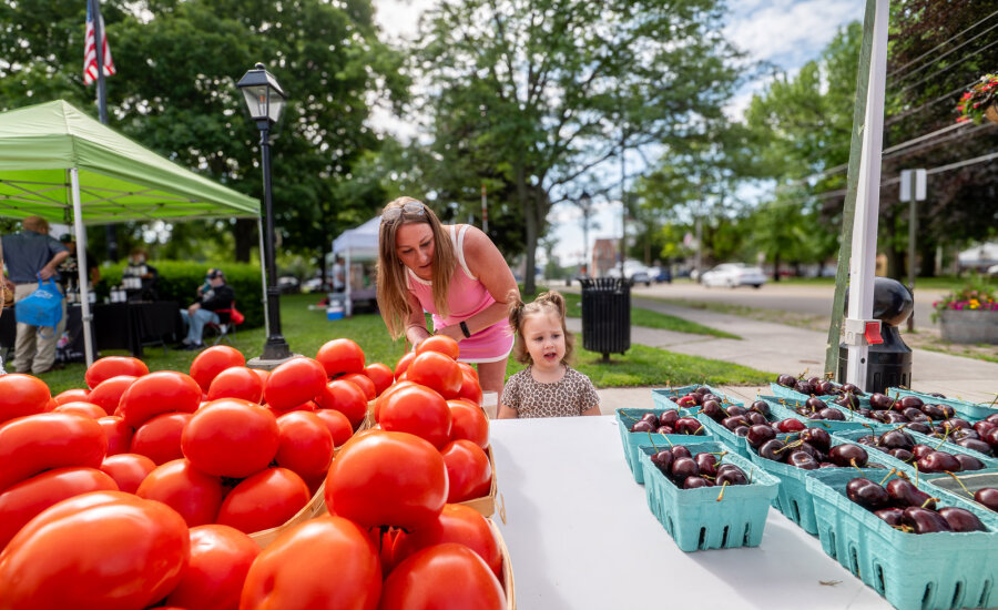 Mom and daughter browsing at Fredonia Farmers Market web