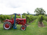 Johnson Estate Winery tractor and vineyard