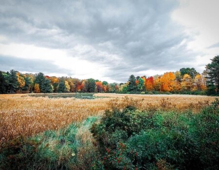 Fall Foliage in Chautauqua County NY
