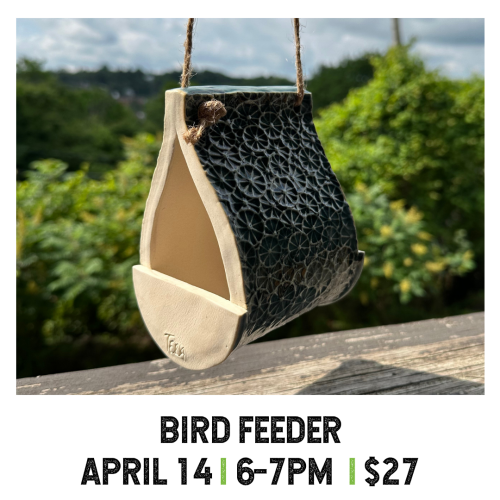 Bird Feeder April 14