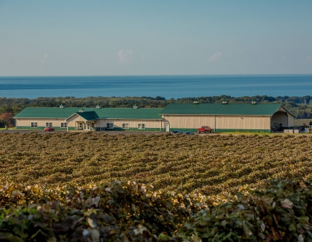 Noble Winery - Autumn Vineyards